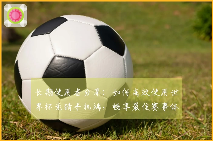长期使用者分享：如何高效使用世界杯竞猜手机端，畅享最佳赛事体验