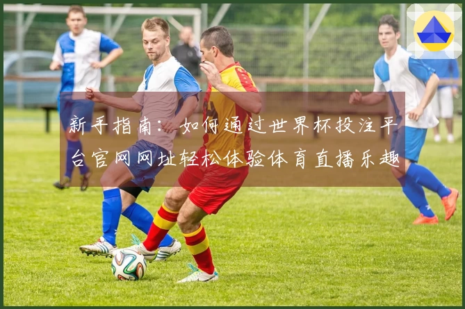 新手指南：如何通过世界杯投注平台官网网址轻松体验体育直播乐趣