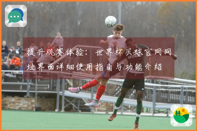 提升观赛体验：世界杯买球官网网址界面详细使用指南与功能介绍