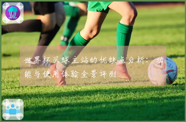 世界杯买球主站的优缺点分析：功能与使用体验全景评测