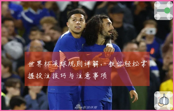 世界杯滚球规则详解，教你轻松掌握投注技巧与注意事项
